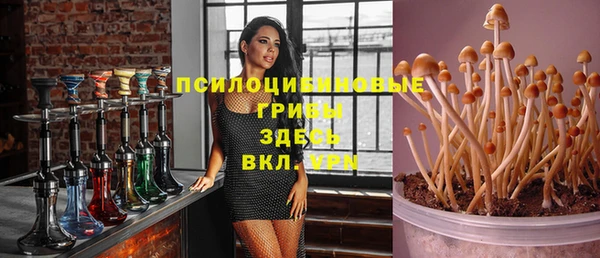 прущая мука Армянск