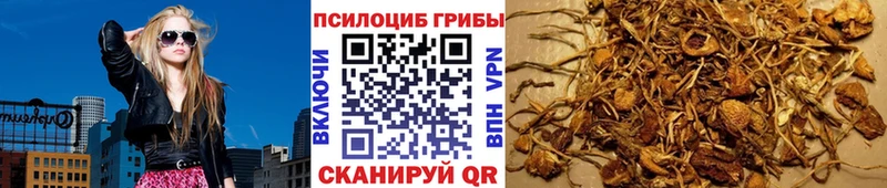 Галлюциногенные грибы прущие грибы  Новомосковск 