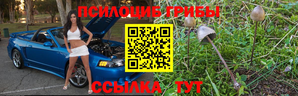 Галлюциногенные грибы GOLDEN TEACHER Новомосковск