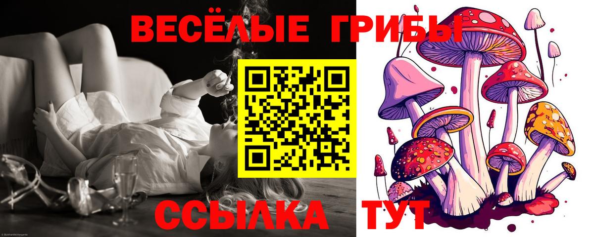 Галлюциногенные грибы мицелий  Вход с VPN  Новомосковск 