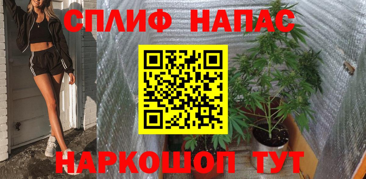 Марихуана план Новомосковск